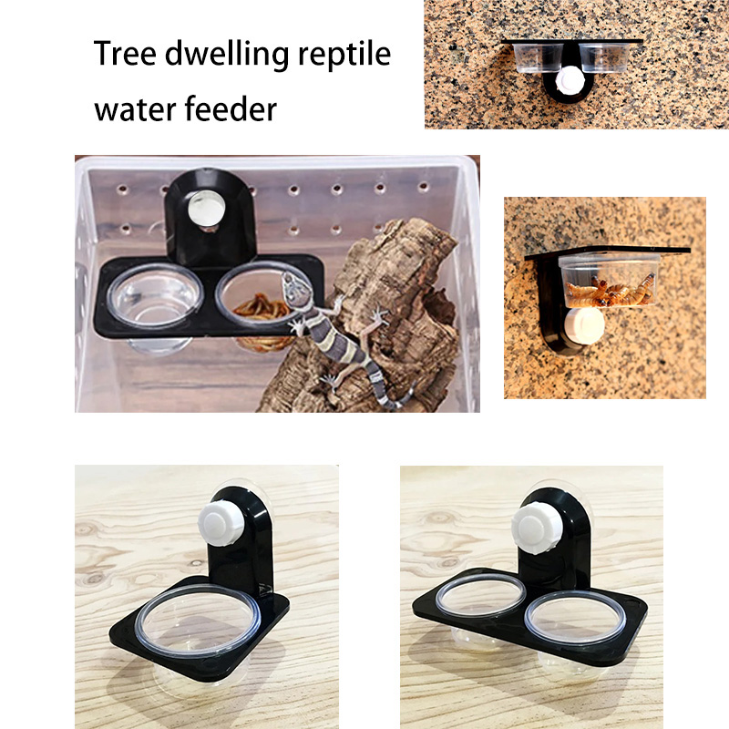 ถังสัตว์เลื้อยคลานอุปกรณ์เสริม - Water Dish Reptile บทวิจารณ์และราคา