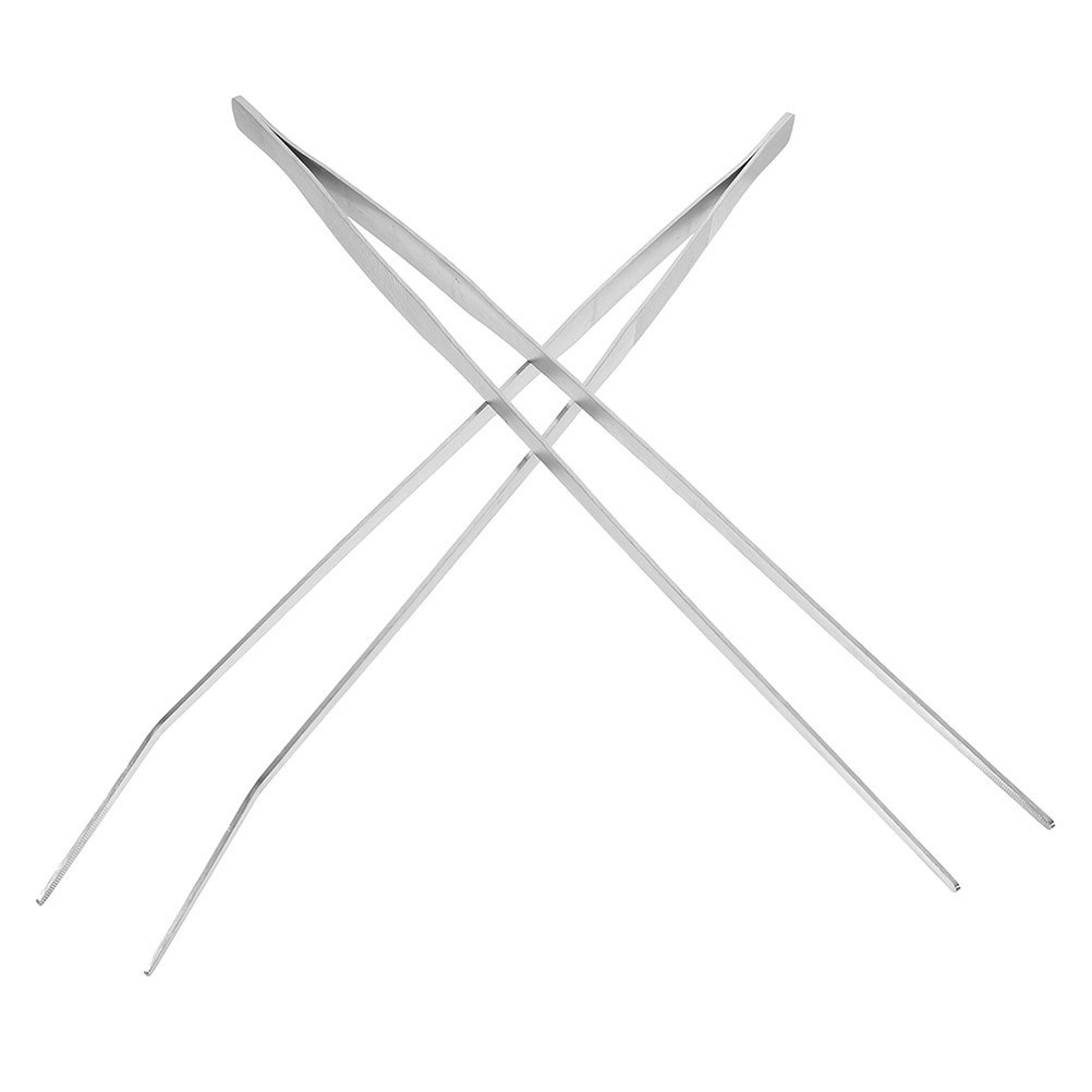 2 ชิ้น คีมคีบอาหารสัตว์เลื้อยค - Feeding Tong Stainless บทวิจารณ์และราคา