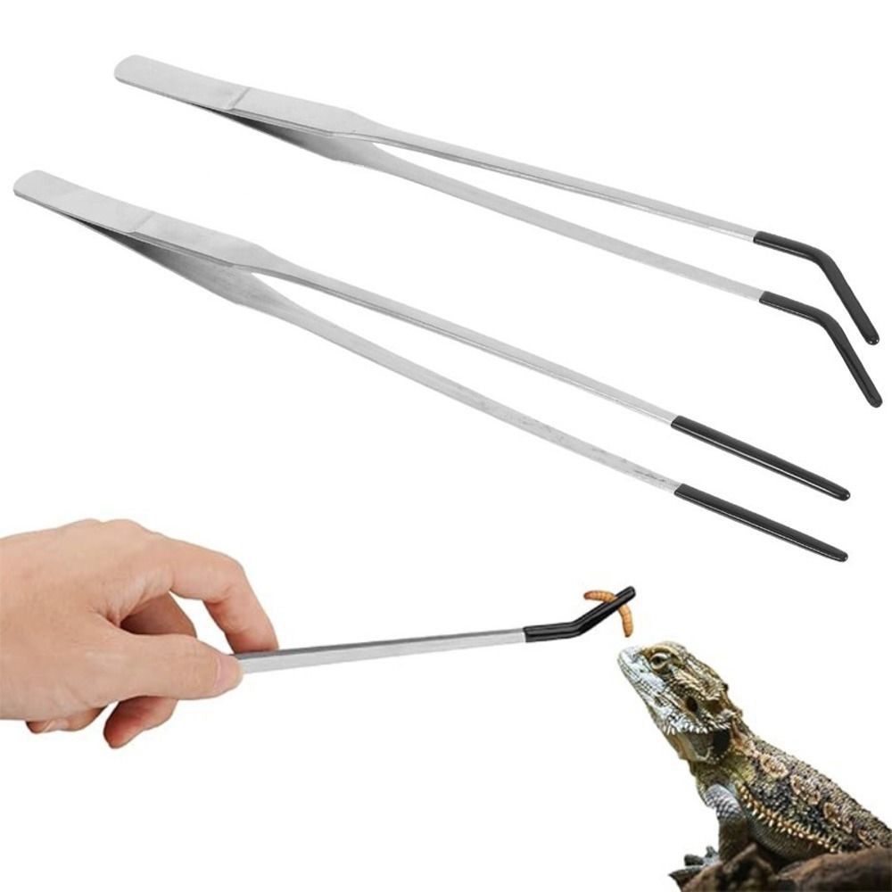 แหนบป้อนอาหารสัตว์เลี้ยงน้ำ 2  - Feeding Tong Stainless บทวิจารณ์และราคา