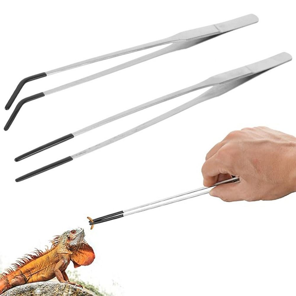 แหนบป้อนอาหารสัตว์เลี้ยงน้ำ 2  - Feeding Tong Stainless บทวิจารณ์และราคา